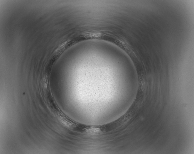 X0000080790374200701051400