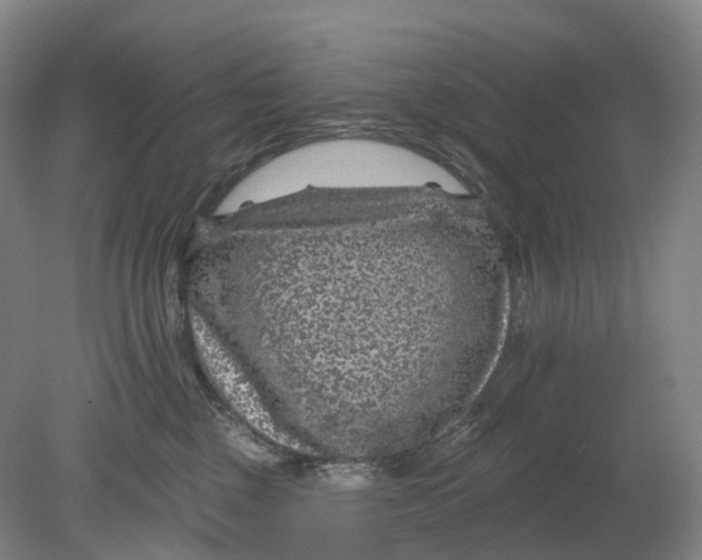 X0000080790377200701051400