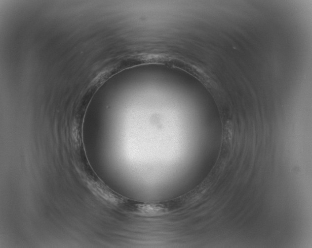 X0000080790380200701051400