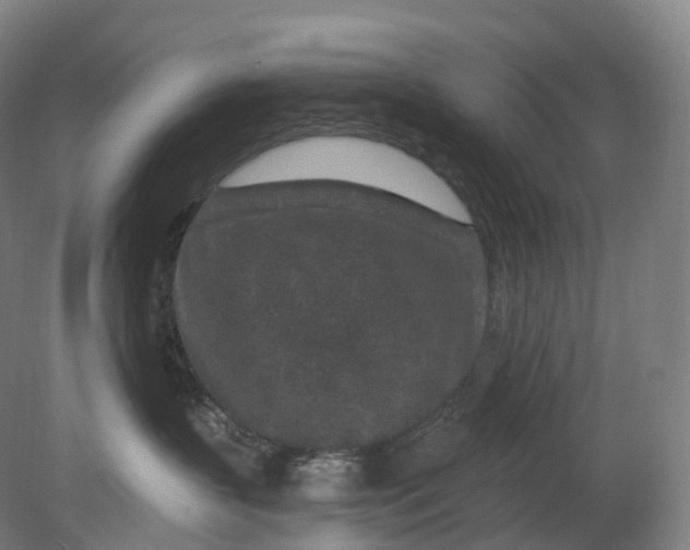 X0000080790383200701051400