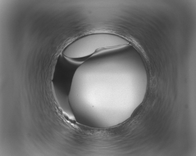 X0000080790385200701051359