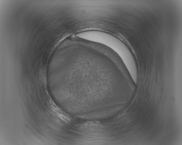 X0000080790386200701051359