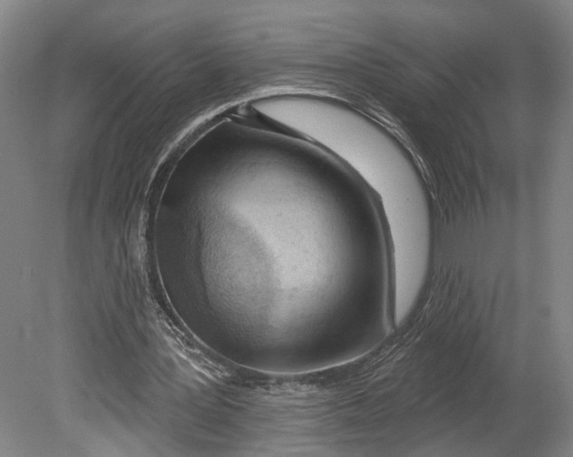 X0000080790387200701051359