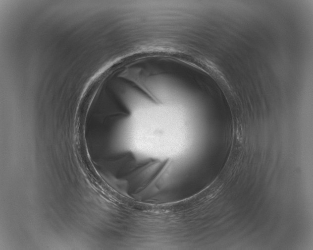 X0000080790388200701051359