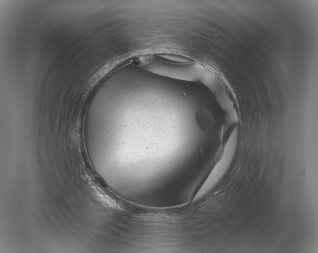 X0000080790389200701051359