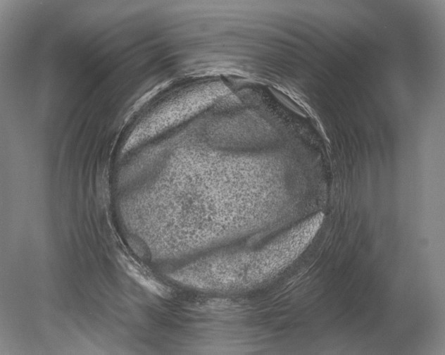 X0000080790390200701051359