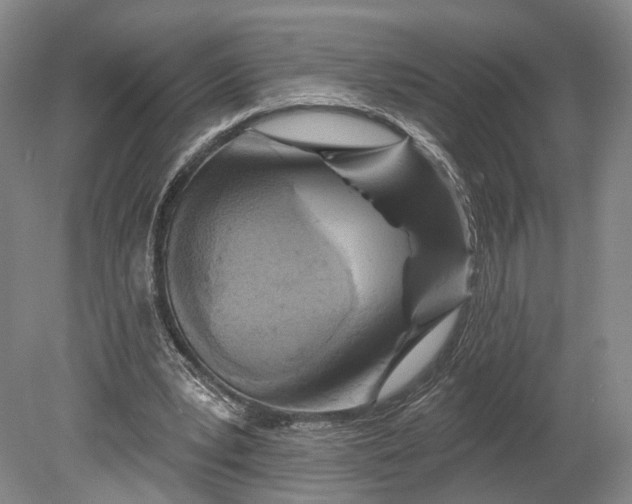X0000080790391200701051359