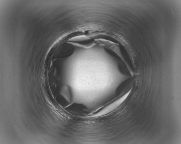 X0000080790392200701051359