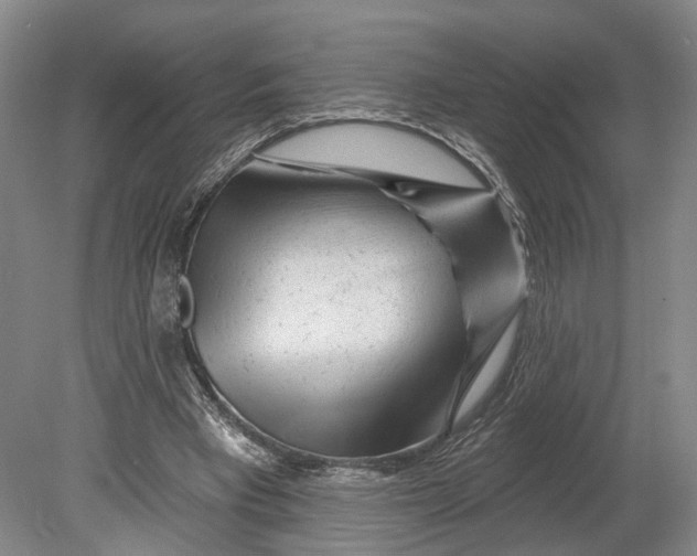 X0000080790393200701051359