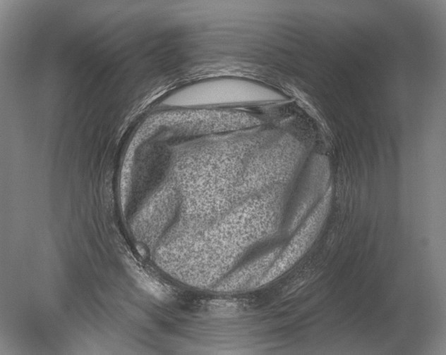 X0000080790394200701051359
