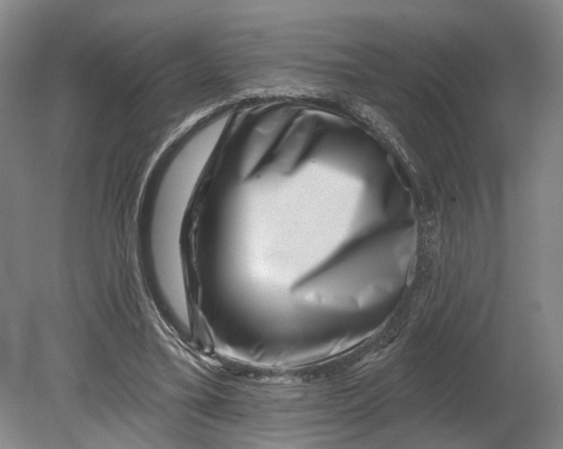 X0000080790395200701051359
