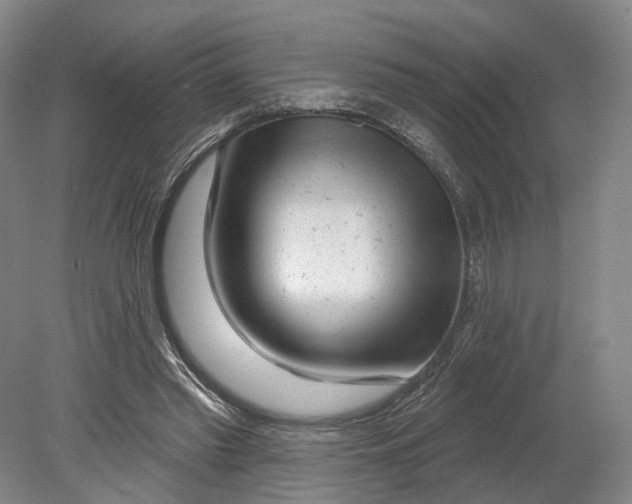 X0000080790397200701051359