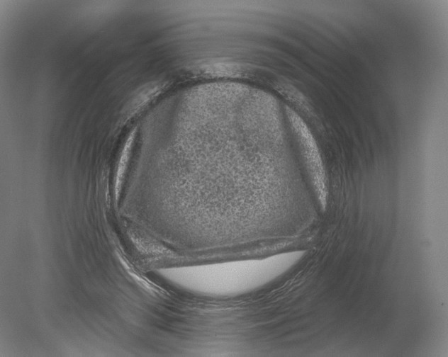 X0000080790398200701051359