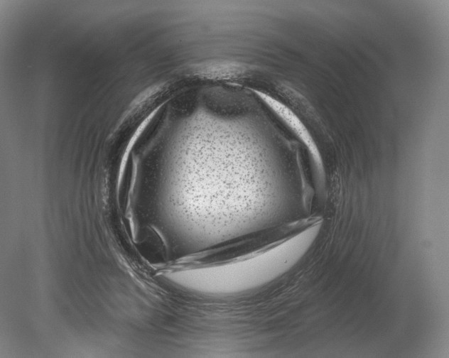 X0000080790400200701051359
