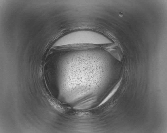 X0000080790401200701051359