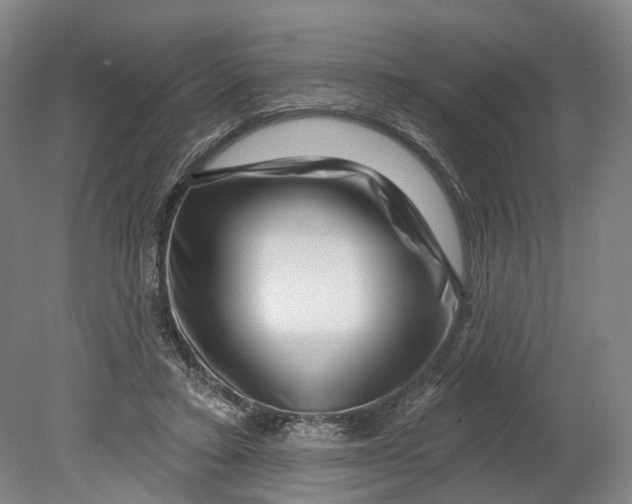 X0000080790403200701051359