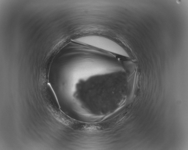X0000080790407200701051359