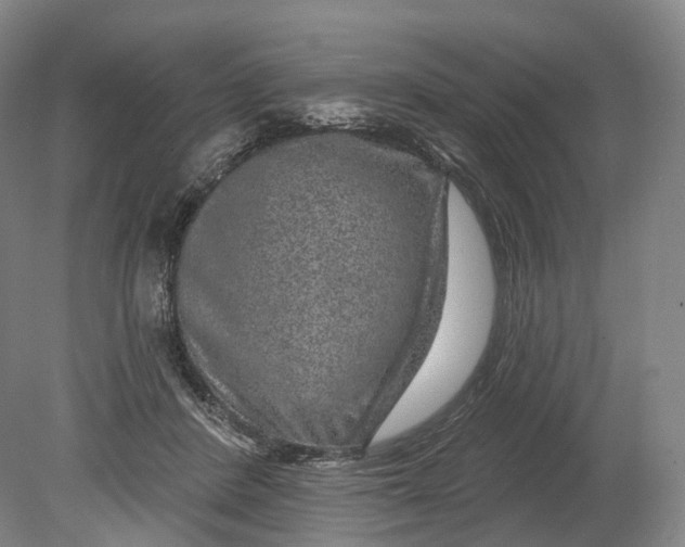 X0000080790408200701051359