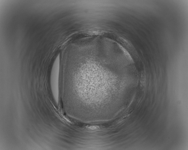 X0000080790409200701051359