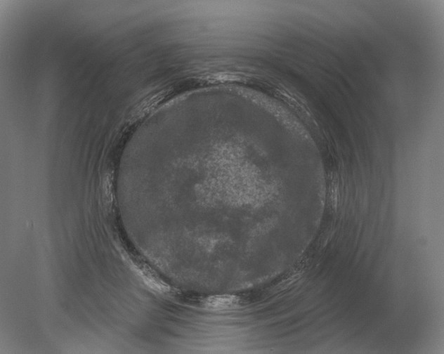 X0000080790410200701051359