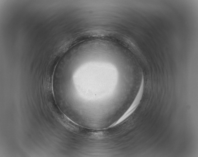X0000080790411200701051359