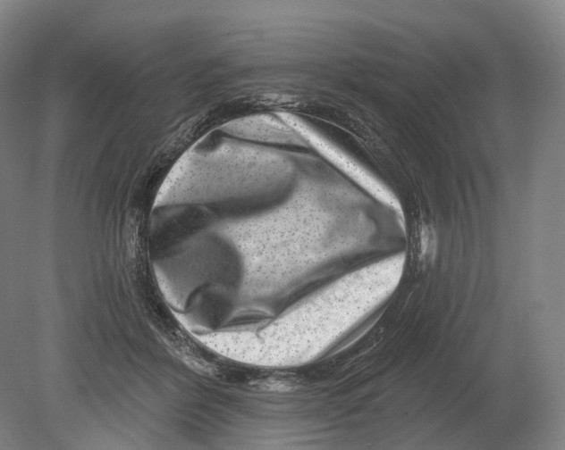 X0000080790412200701051359