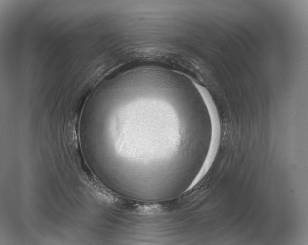 X0000080790415200701051358