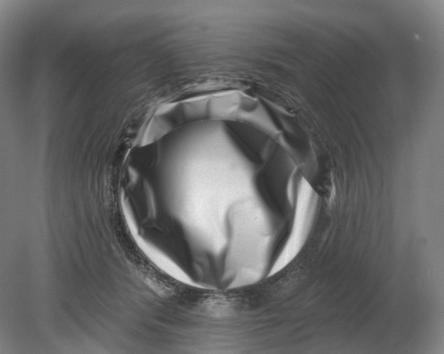 X0000080790416200701051358