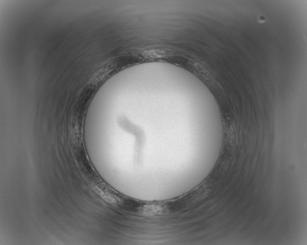 X0000080790418200701051358