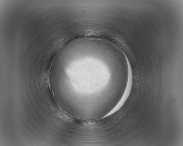 X0000080790419200701051358