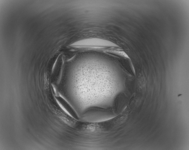 X0000080790420200701051358