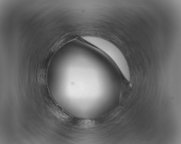 X0000080790421200701051358