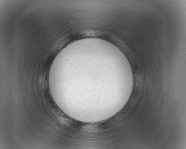 X0000080790422200701051358