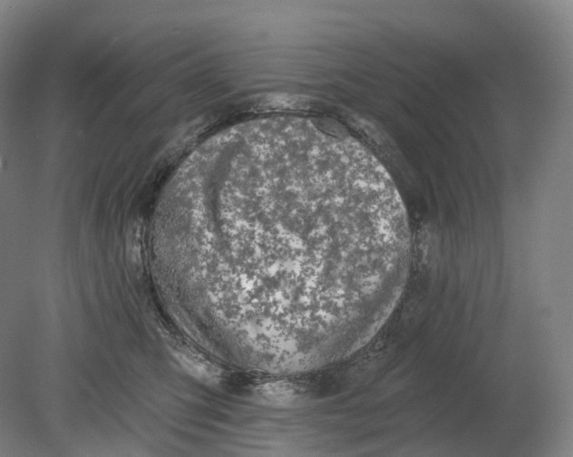 X0000080790423200701051358