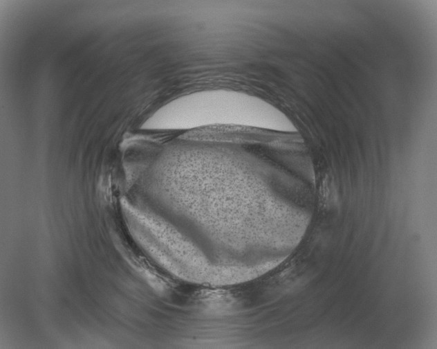 X0000080790424200701051358