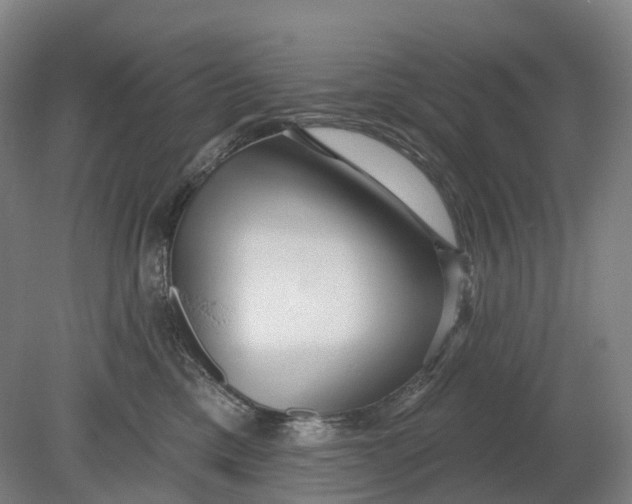 X0000080790425200701051358
