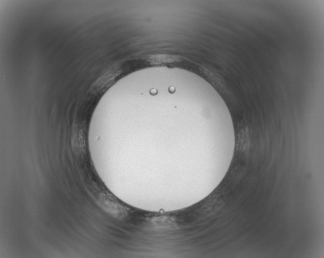 X0000080790426200701051358