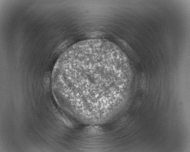 X0000080790427200701051358