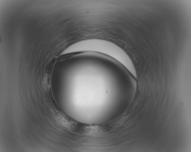 X0000080790428200701051358