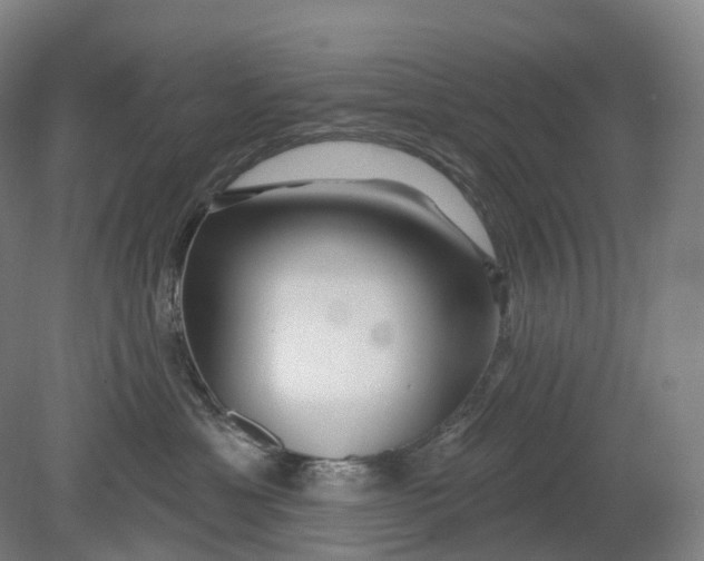 X0000080790429200701051358