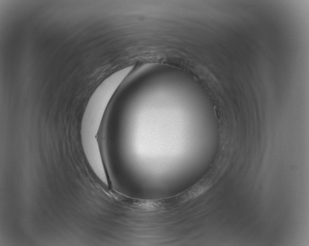 X0000080790432200701051358