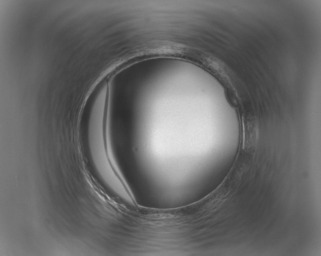 X0000080790435200701051357