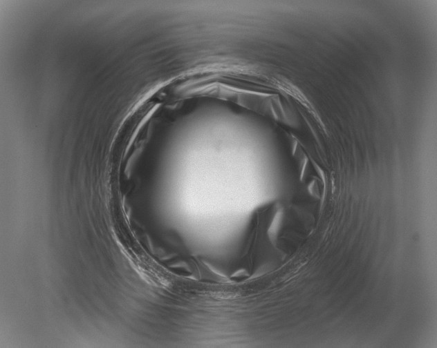 X0000080790436200701051357