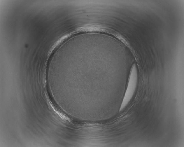 X0000080790438200701051357