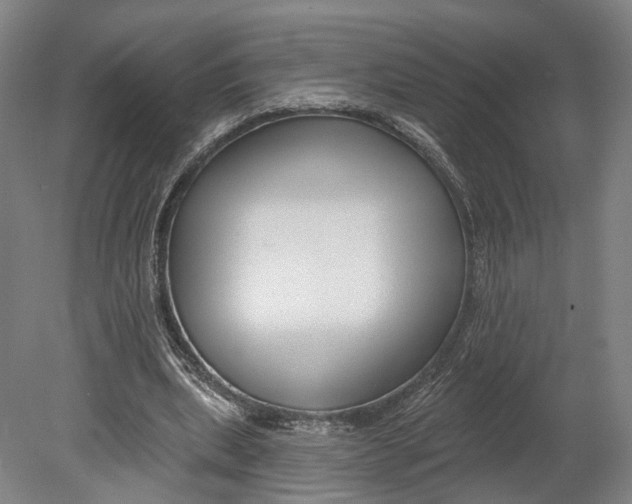X0000080790439200701051357