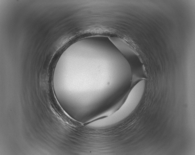 X0000080790440200701051357