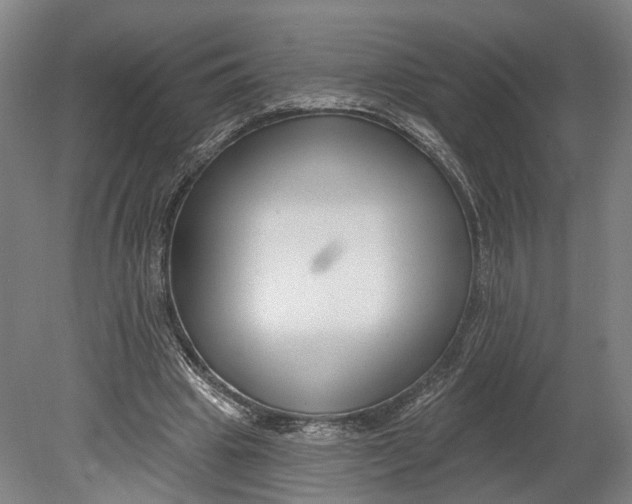 X0000080790441200701051357