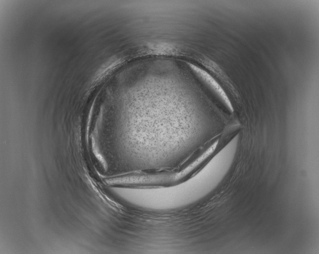X0000080790442200701051357