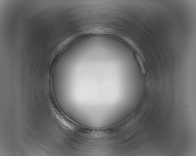 X0000080790445200701051358