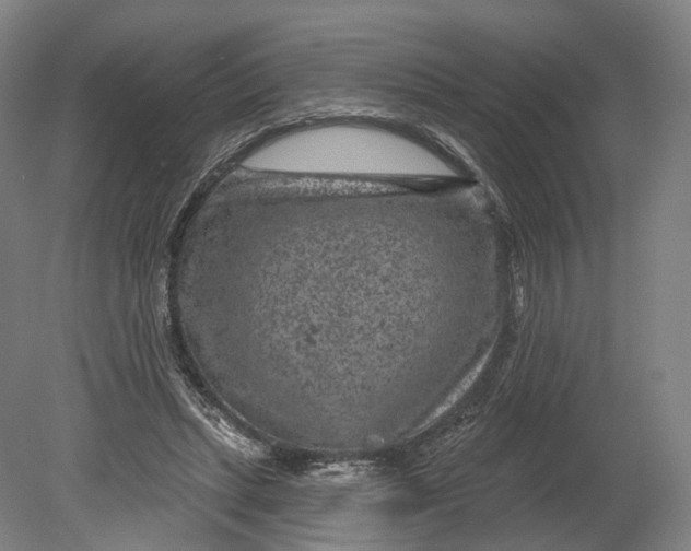 X0000080790447200701051358